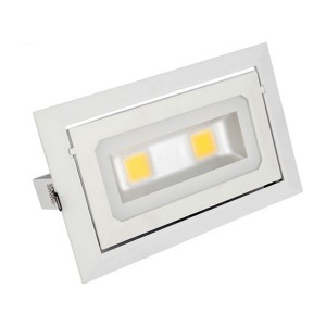 http://www.hontronics.com/109-243-thickbox/30w-rectangular-led-downlight.jpg
