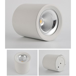 http://www.hontronics.com/163-296-thickbox/45w-surface-mounted-led-downlight.jpg